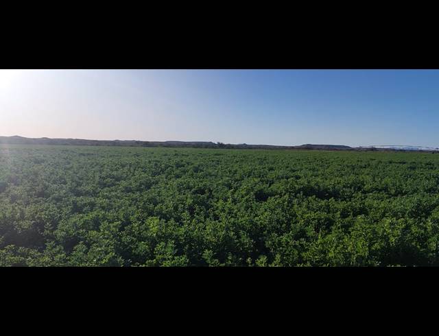 4,642HA FARM FOR SALE IN LEEU GAMKA